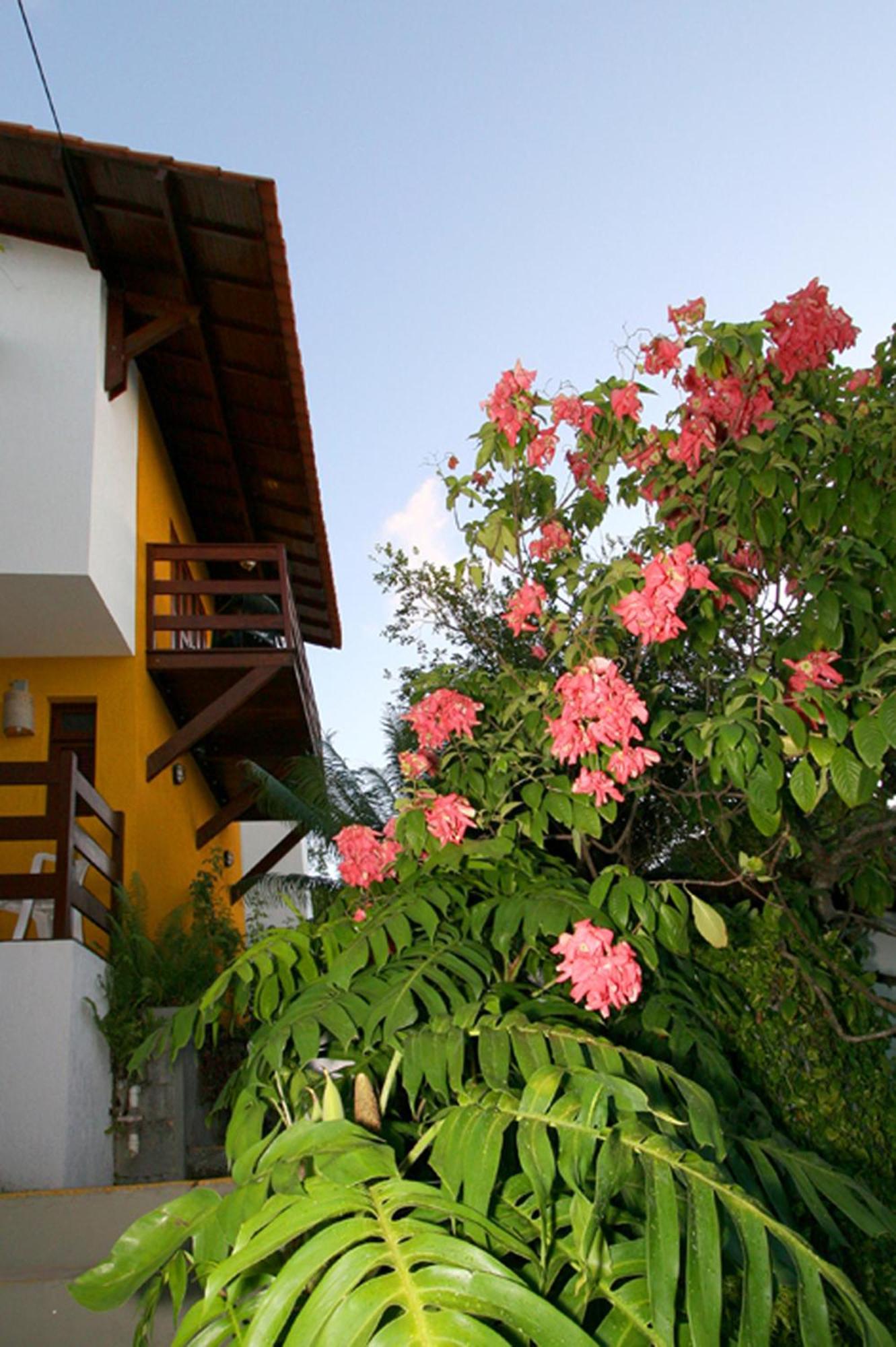 Pousada Castanheira Natal Exterior photo